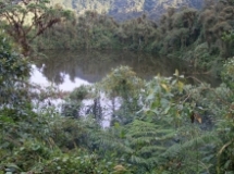 Imagen Laguna del Volcán Sumaco